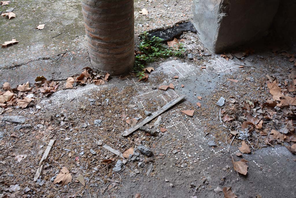 VII.16.17-22 Pompeii. October 2018. Peristyle 14, detail of flooring.
Foto Annette Haug, ERC Grant 681269 DÉCOR.