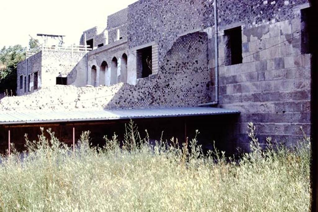 VII.16.17-22 Pompeii. 1972. Looking north across garden below window in west wall. Photo by Stanley A. Jashemski. 
Source: The Wilhelmina and Stanley A. Jashemski archive in the University of Maryland Library, Special Collections (See collection page) and made available under the Creative Commons Attribution-Non Commercial License v.4. See Licence and use details. J72f0228