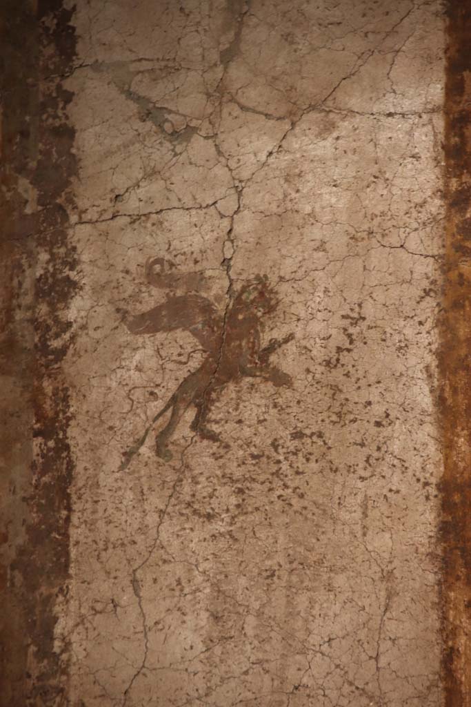 VII.16.a Pompeii. September 2021.  
Room 7, detail from upper south wall. Photo courtesy of Klaus Heese.