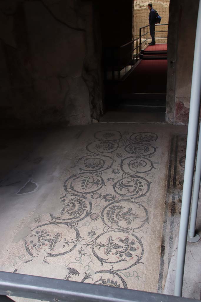 VII.16.a Pompeii. October 2020. Mosaic floor in vestibule 8, leading to doorway to room 6.
Photo courtesy of Klaus Heese.