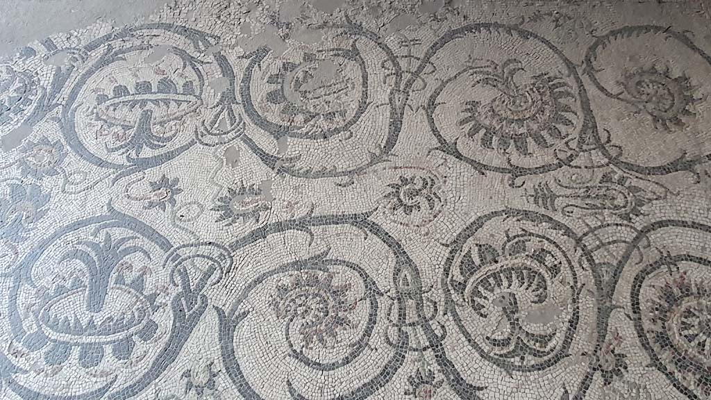 VII.16.a Pompeii. August 2021. Detail of mosaic floor in vestibule 8
Foto Annette Haug, ERC Grant 681269 DÉCOR.