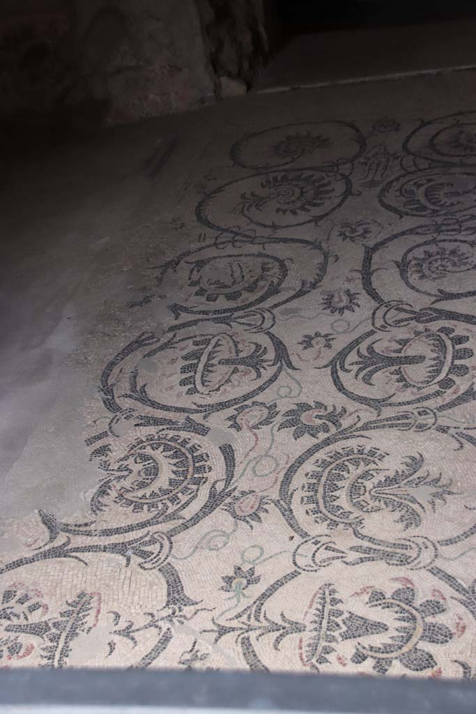 VII.16.a Pompeii. October 2020. Detail of mosaic floor in vestibule 8, leading to doorway to room 6.
Photo courtesy of Klaus Heese.