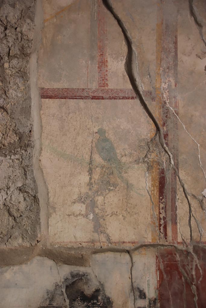 VII.16.a Pompeii. October 2023.
Vestibule 8, painted decoration and painted bird from upper east wall. Photo courtesy of Klaus Heese.