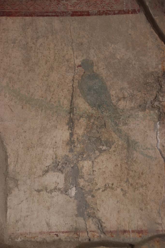 VII.16.a Pompeii. October 2020. Vestibule 8, detail of a painted bird from upper east wall.
Photo courtesy of Klaus Heese.