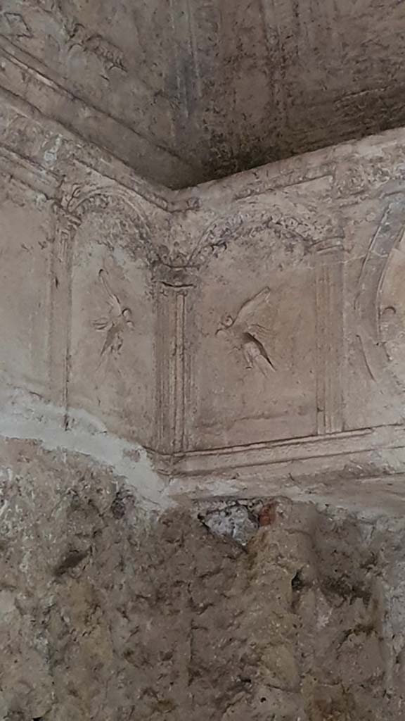 VII.16.a Pompeii. August 2021. Room 6, detail from south-east corner.
Foto Annette Haug, ERC Grant 681269 DÉCOR.
