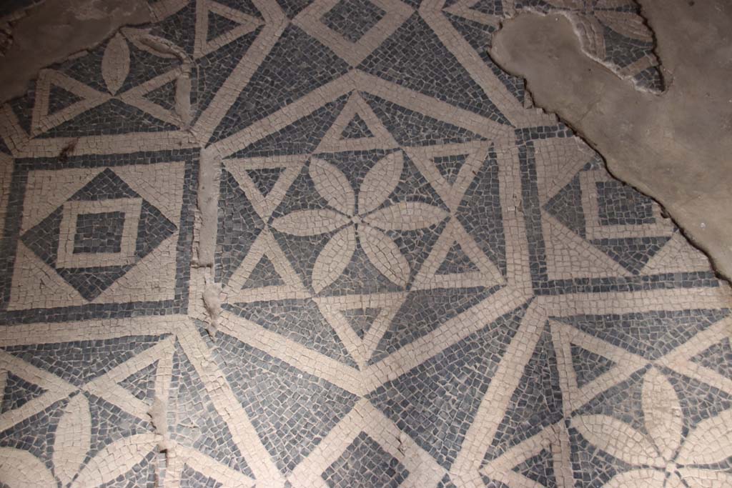 VII.16.a Pompeii. October 2020. Room 1, detail of mosaic floor. Photo courtesy of Klaus Heese.