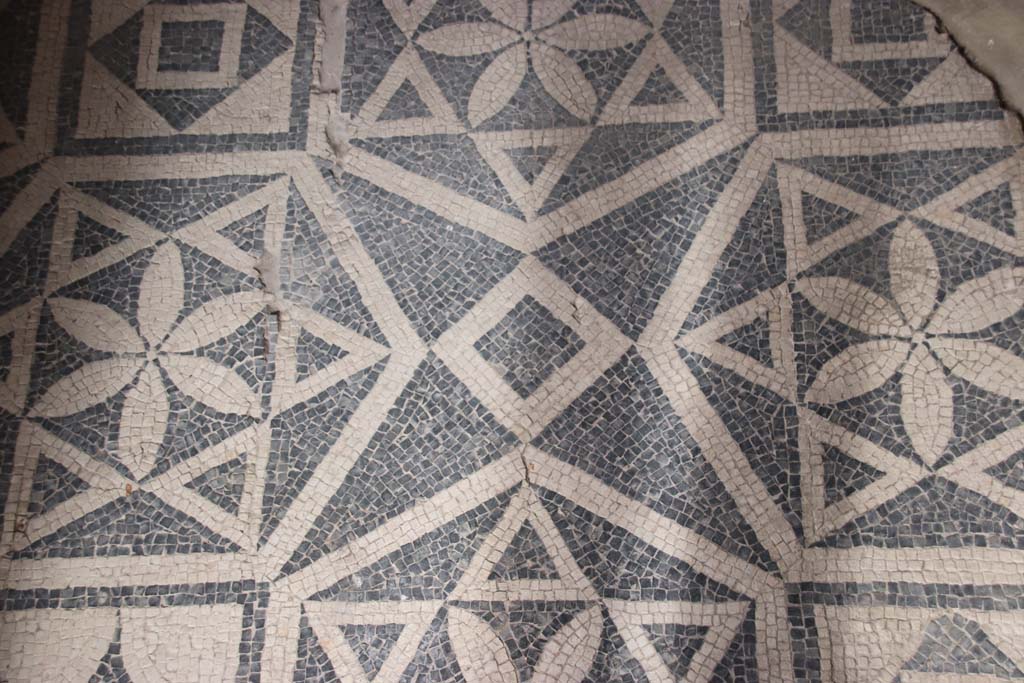 VII.16.a Pompeii. October 2020. Room 1, detail of mosaic floor. Photo courtesy of Klaus Heese.