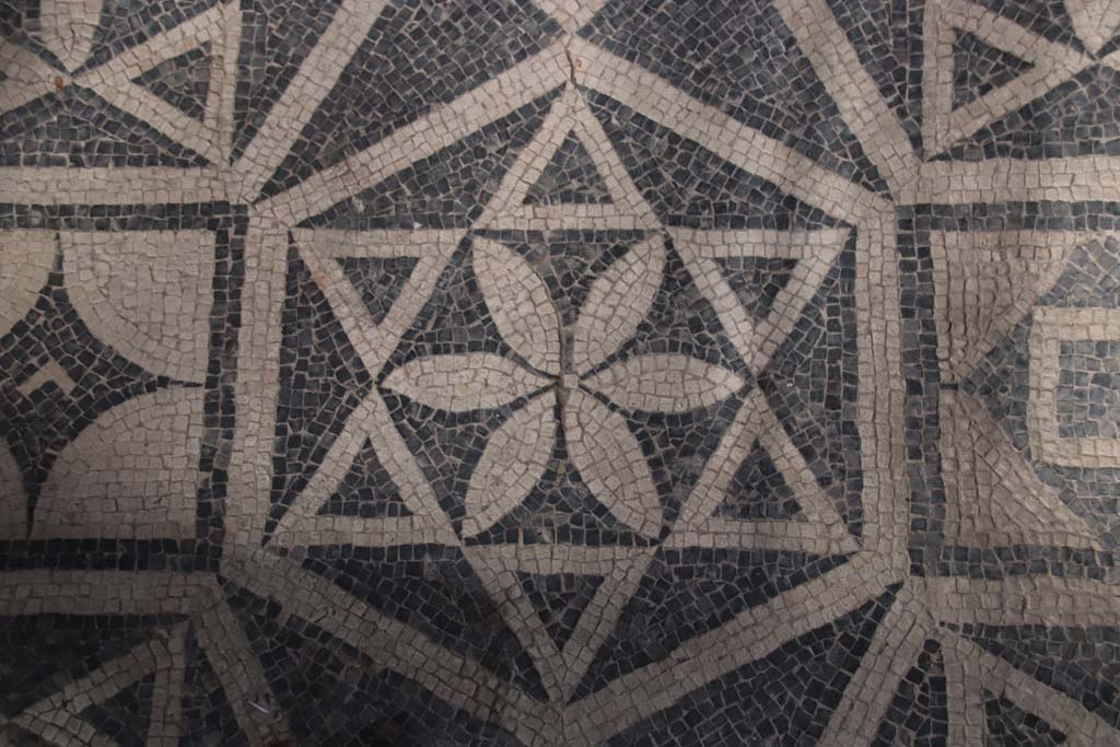 VII.16.a Pompeii. October 2020. Room 1, detail of mosaic floor. Photo courtesy of Klaus Heese.