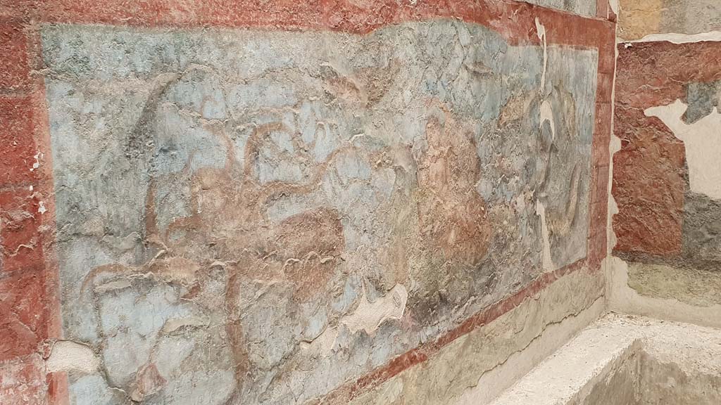 VII.16.a Pompeii. August 2021. Room 9, west wall. Octopus scene.
Foto Annette Haug, ERC Grant 681269 DÉCOR.