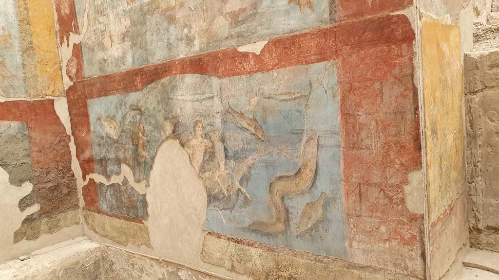 VII.16.a Pompeii. August 2021. Room 9, lower part of east wall.
Foto Annette Haug, ERC Grant 681269 DÉCOR.