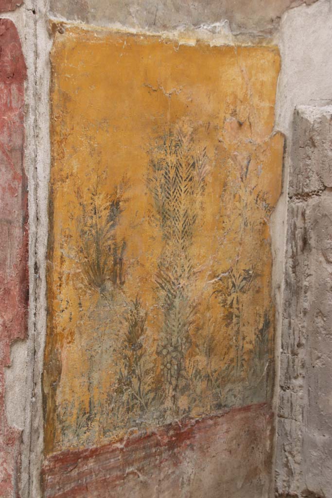 VII.16.a Pompeii. October 2020. Room 9, detail from lower north wall at side of cascade. 
Photo courtesy of Klaus Heese.