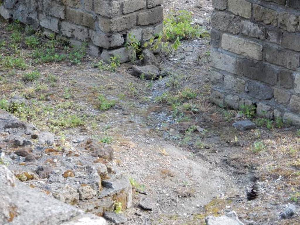 VII.16.a Pompeii. May 2015. Detail of flooring in lower area, and doorway to room.
Photo courtesy of Buzz Ferebee.