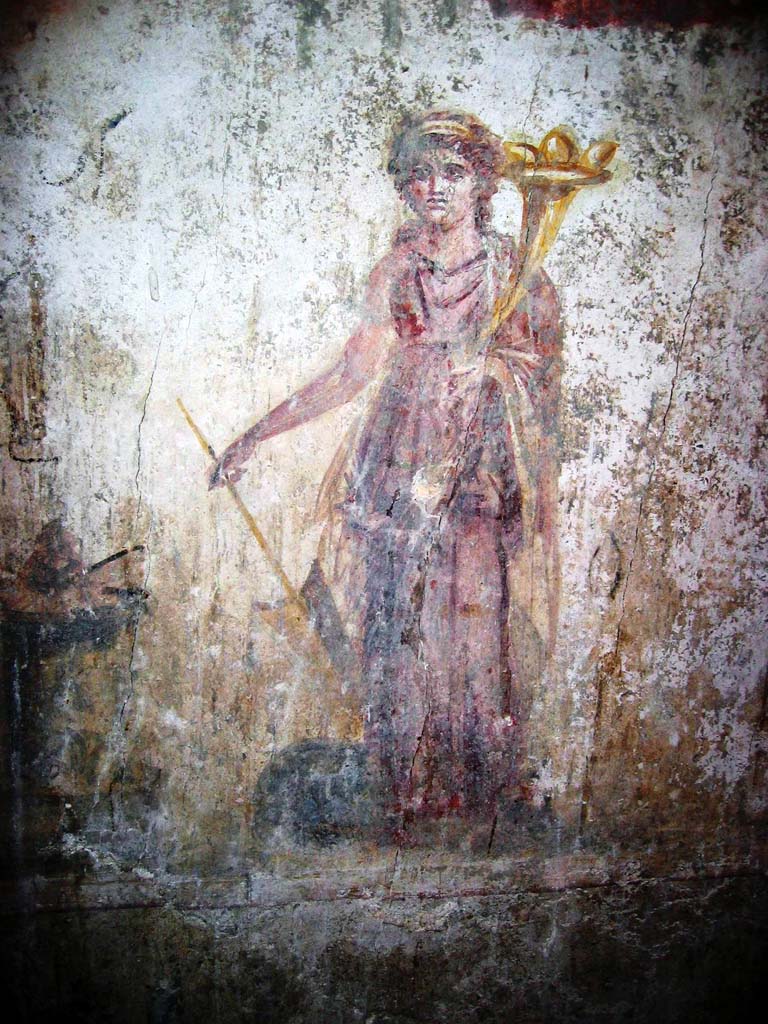 VII.16.a Pompeii. July 2008. Room 14, painted Lararium on east wall of the latrine. Photo courtesy of Barry Hobson.
Under two red garlands stands Fortuna, dressed in a red Chiton and blue Mantel. 
She has a horn of plenty on her left arm and on her right is a rudder and a globe.
A round altar with an offering is to the right. 
An inscription in black which was above the altar is no longer visible.
See Fröhlich, T., 1991. Lararien und Fassadenbilder in den Vesuvstädten. Mainz: von Zabern. (p.301, L114, Taf. 50, 3).