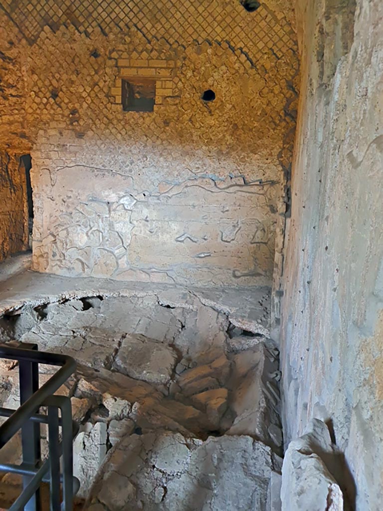 VII.16.a Pompeii. November 2023. 
Room 5, damaged floor looking east at south end. Photo courtesy of Giuseppe Ciaramella.