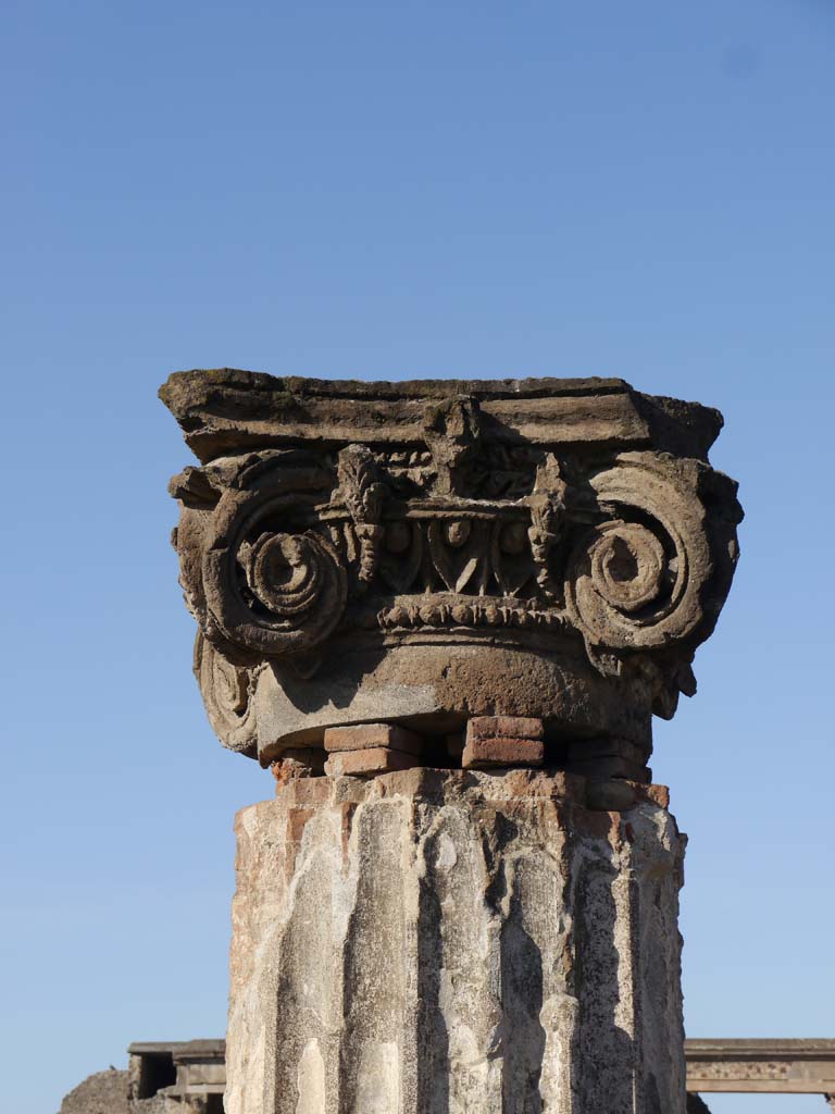 VIII.1.1, Pompeii. March 2019. Detail of capital in Basilica. 
Foto Anne Kleineberg, ERC Grant 681269 DÉCOR.
