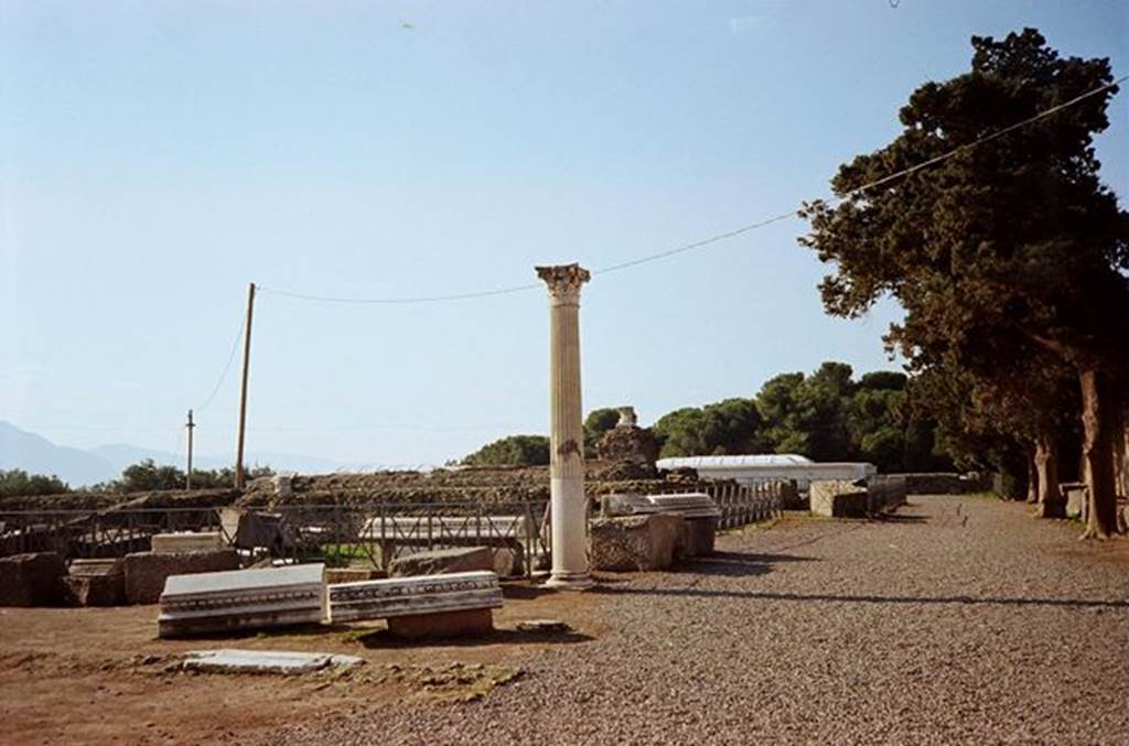 VIII.1.3 Pompeii. January 2010. Looking west from entrance. Photo courtesy of Rick Bauer. According to Garcia y Garcia, one of the best descriptions of this temple was made in A. Mau: Pompeii, Its life and arts. See Mau, A., 1907, translated by Kelsey, F. W., Pompeii: Its Life and Art. New York: Macmillan. (p. 124-129). When this temple was discovered it was totally ruined due to the AD62 earthquake. It was in the process of being reconstructed by the ancient pompeians. The excavations were then bombed on 24th August 1943 causing the demolition of the foundation of the portico, to the west, south and east. 
The north and south sides of the foundation of the temple were hit again in the night raid of 20th September 1943.  See Garcia y Garcia, L., 2006. Danni di guerra a Pompei. Rome: L’Erma di Bretschneider. (p.138)