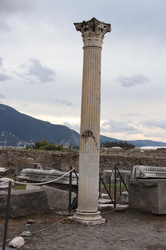 VIII.1.3 Pompeii. October 2020. Looking south-west towards column with Corinthian capital.
Photo courtesy of Klaus Heese.