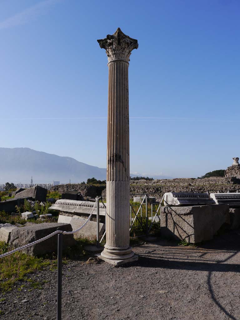 VIII.1.3 Pompeii. March 2019. Looking south-west towards column with Corinthian capital.
Foto Anne Kleineberg, ERC Grant 681269 DÉCOR.
