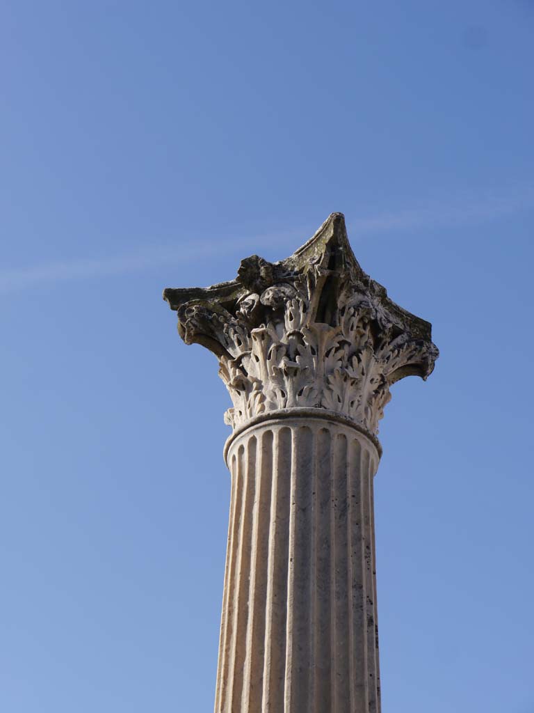 VIII.1.3 Pompeii. March 2019. Detail of Corinthian capital on top of column.
Foto Anne Kleineberg, ERC Grant 681269 DÉCOR.
