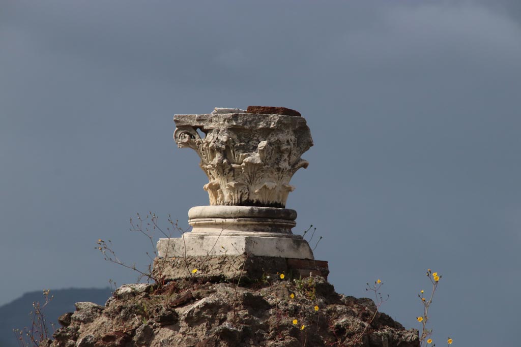 VIII.1.3 Pompeii. May 2024. Capital. Photo courtesy of Klaus Heese.