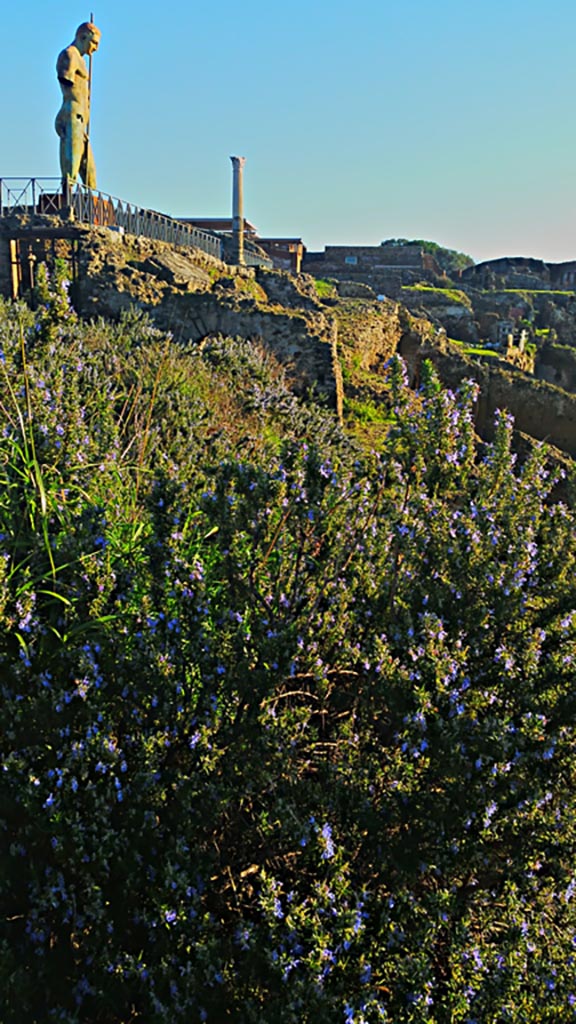 VIII.1.3 Pompeii. December 2019. 
Looking east from south-west corner at rear of Temple. Photo courtesy of Giuseppe Ciaramella.