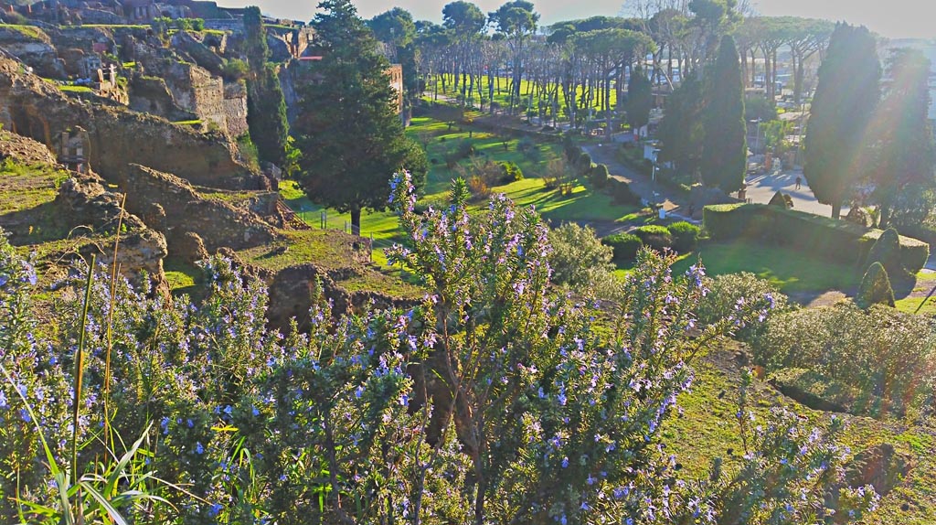 VIII.1.3 Pompeii. December 2019. 
Looking south-east across rear of VIII.1 and VIII.2, from exit of site. Photo courtesy of Giuseppe Ciaramella.