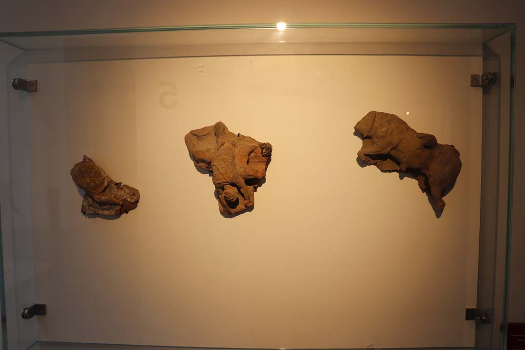 VIII.1.4 Pompeii. February 2021. Terracotta frieze with battle scenes, from area of the Triangular Forum, domus publica, at VIII.7.31. 
Photo courtesy of Fabien Bièvre-Perrin (CC BY-NC-SA).
