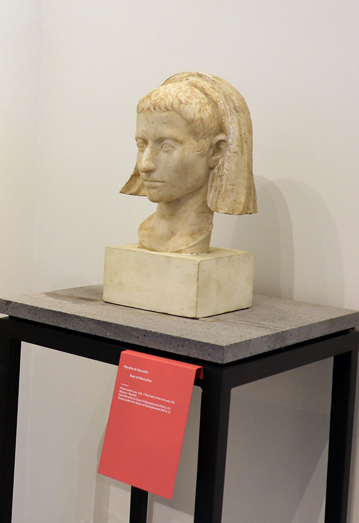 VIII.1.4 Pompeii. February 2021. 
Marble bust of Marcellus, found in the dump under the House of Championnet.
Photo courtesy of Fabien Bièvre-Perrin (CC BY-NC-SA).
(Note: according to Maiuri, p.106 above, this was found in 1937 among the old debris of the Temple of Venus).
