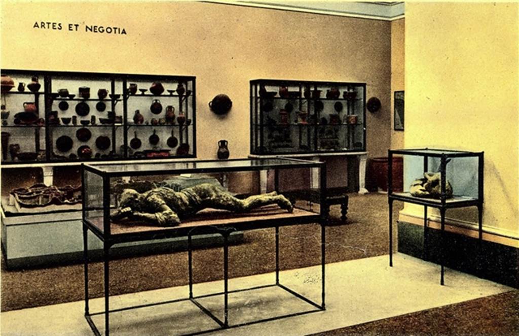 VIII.1.4 Pompeii Antiquarium. About 1948. Photograph of room IV with female cast and cast of a dog.
Behind are cabinets with trade and industry items and the model and finds of the rustic Villa of Boscoreale (Villa Pisanella). 
Photo courtesy of Rick Bauer.