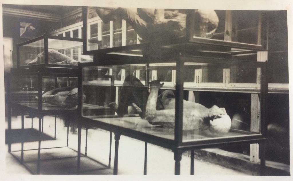 VIII.1.4 Pompeii Antiquarium. Stacked body casts. 1931 photograph taken by a British officer serving aboard the HMS Ramilles.
Photo courtesy of Rick Bauer.