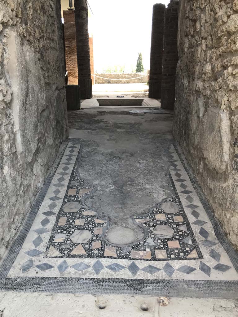 VIII.2.1 Pompeii. April 2019. Looking south across mosaic flooring from entrance doorway. 
Photo courtesy of Rick Bauer.