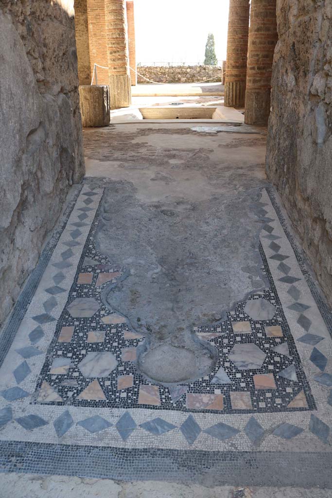 VIII.2.1 Pompeii. December 2018. 
Looking south from entrance doorway. Photo courtesy of Aude Durand.