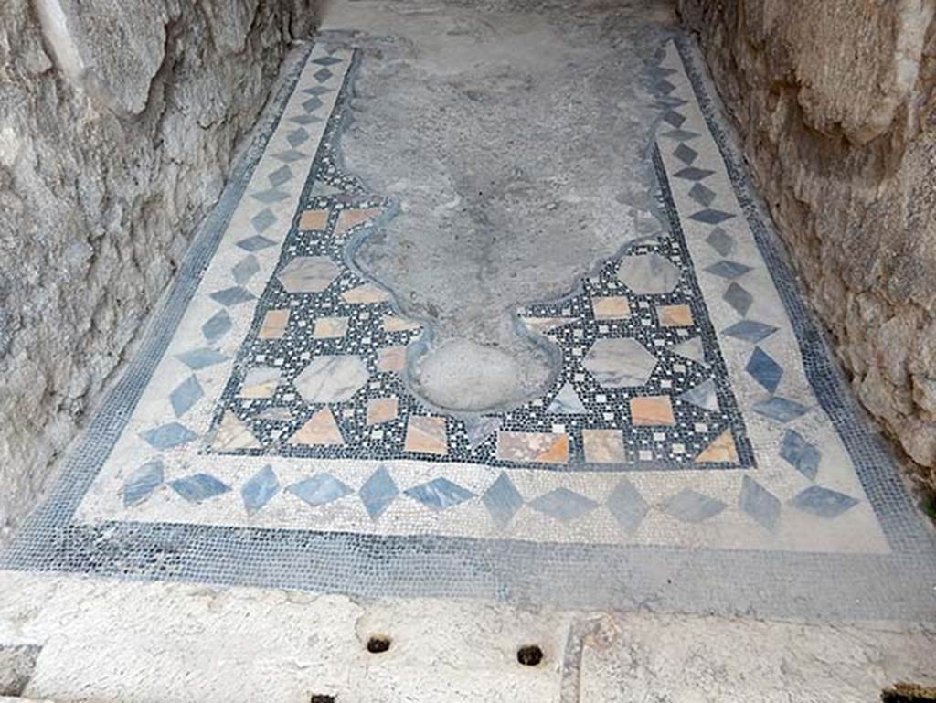 VIII.2.1 Pompeii. May 2018. Looking south along mosaic in entrance corridor/fauces.
Photo courtesy of Buzz Ferebee.