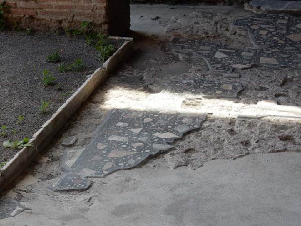 VIII.2.1 Pompeii. May 2018. Remains of step from atrium flooring to tablinum floor at west end. Photo courtesy of Buzz Ferebee.