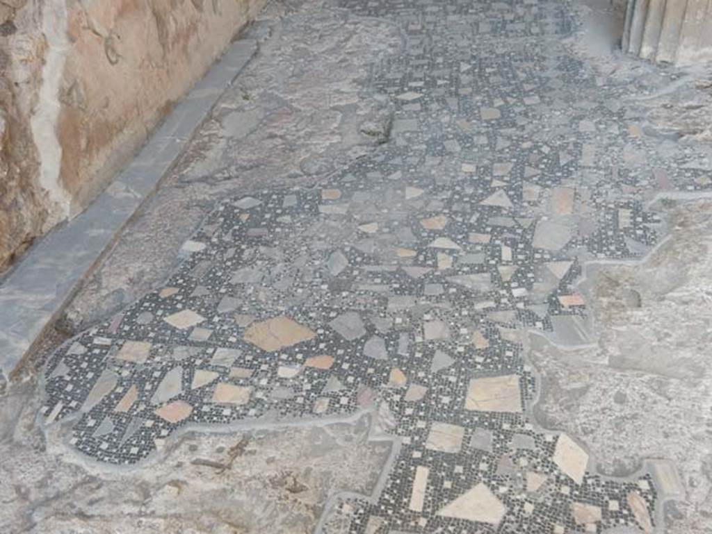 VIII.2.1 Pompeii. May 2018. Looking north along west side of atrium flooring. Photo courtesy of Buzz Ferebee.