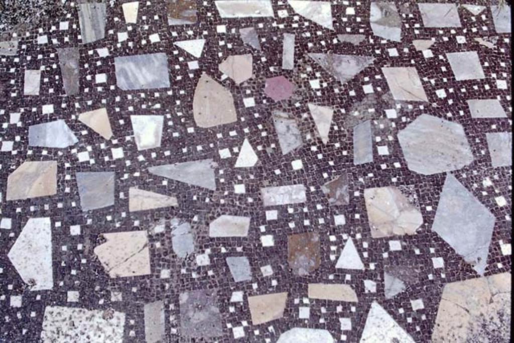 VIII.2.1 Pompeii. 1968. Mosaic floor in atrium. Photo by Stanley A. Jashemski.
Source: The Wilhelmina and Stanley A. Jashemski archive in the University of Maryland Library, Special Collections (See collection page) and made available under the Creative Commons Attribution-Non Commercial License v.4. See Licence and use details.
J68f1194