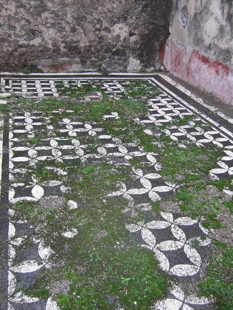 VIII.2.1 Pompeii. December 2005. Looking north, before restoration and cleaning.
Mosaic floor in triclinium in north-east corner, on east side of atrium. Note the red painted zoccolo/dado.