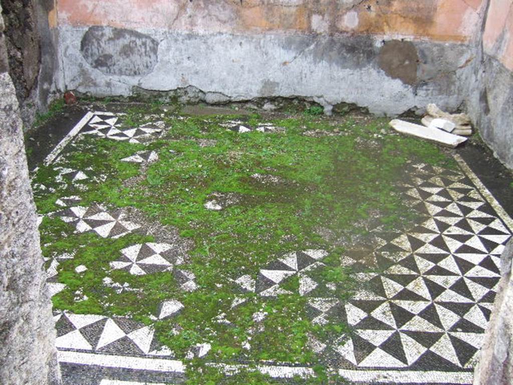VIII.2.1 Pompeii. December 2005.
Mosaic floor in exedra or ala  on east side of atrium. Looking east.