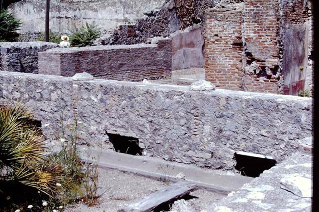 VIII.2.1 Pompeii. 1968. Looking towards north side of peristyle garden, and rear of corridor and tablinum, with doorway to cubiculum, on right. Photo by Stanley A. Jashemski.
Source: The Wilhelmina and Stanley A. Jashemski archive in the University of Maryland Library, Special Collections (See collection page) and made available under the Creative Commons Attribution-Non Commercial License v.4. See Licence and use details.
J68f1193