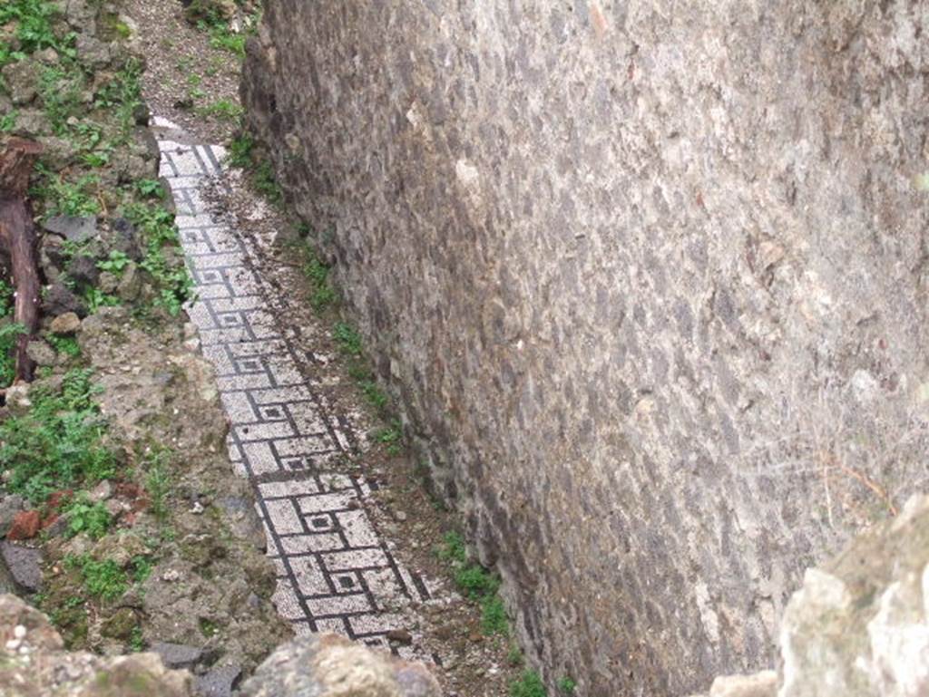 VIII.2.3 Pompeii. December 2005. Mosaic floor of corridor on a lower level.