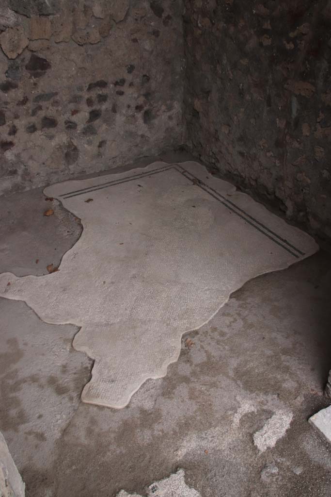 VIII.2.3 Pompeii. October 2020. Mosaic flooring in cubiculum on east side of entrance corridor. 
Photo courtesy of Klaus Heese.