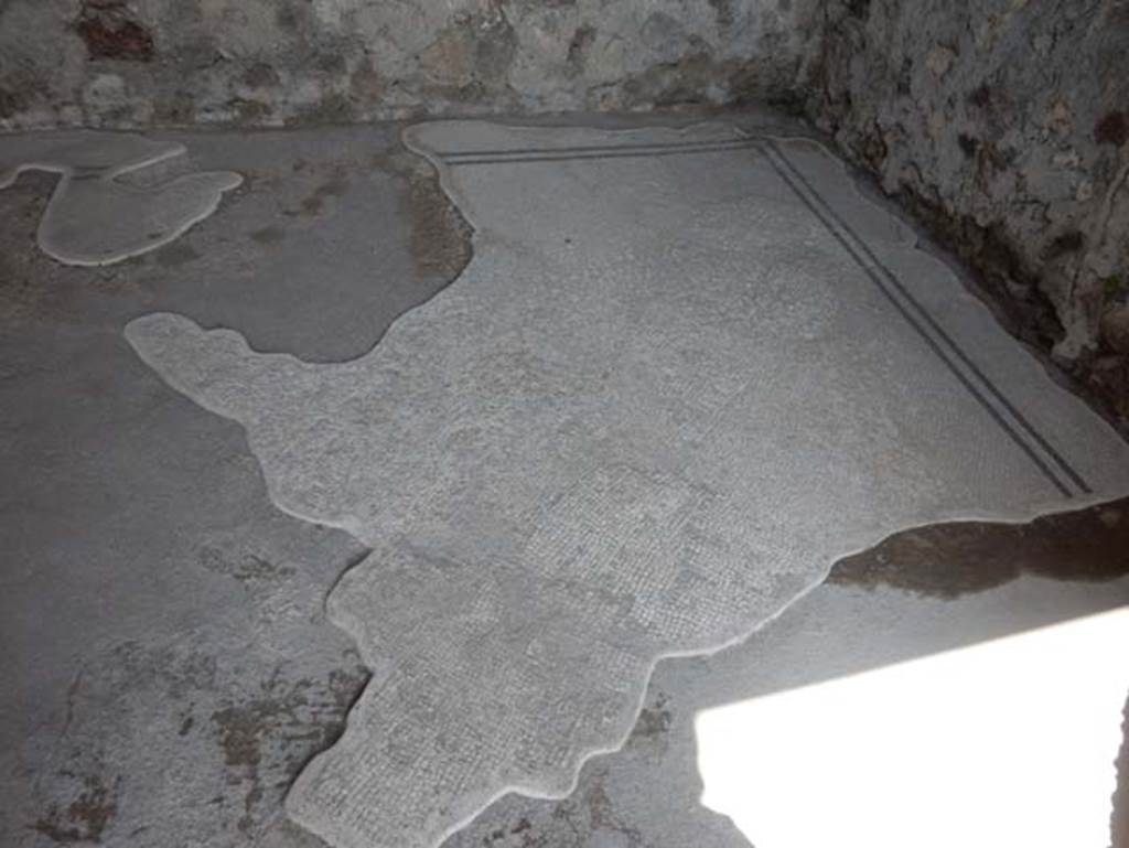 VIII.2.3 Pompeii. May 2018. Mosaic flooring in cubiculum on east side of entrance corridor. Photo courtesy of Buzz Ferebee.