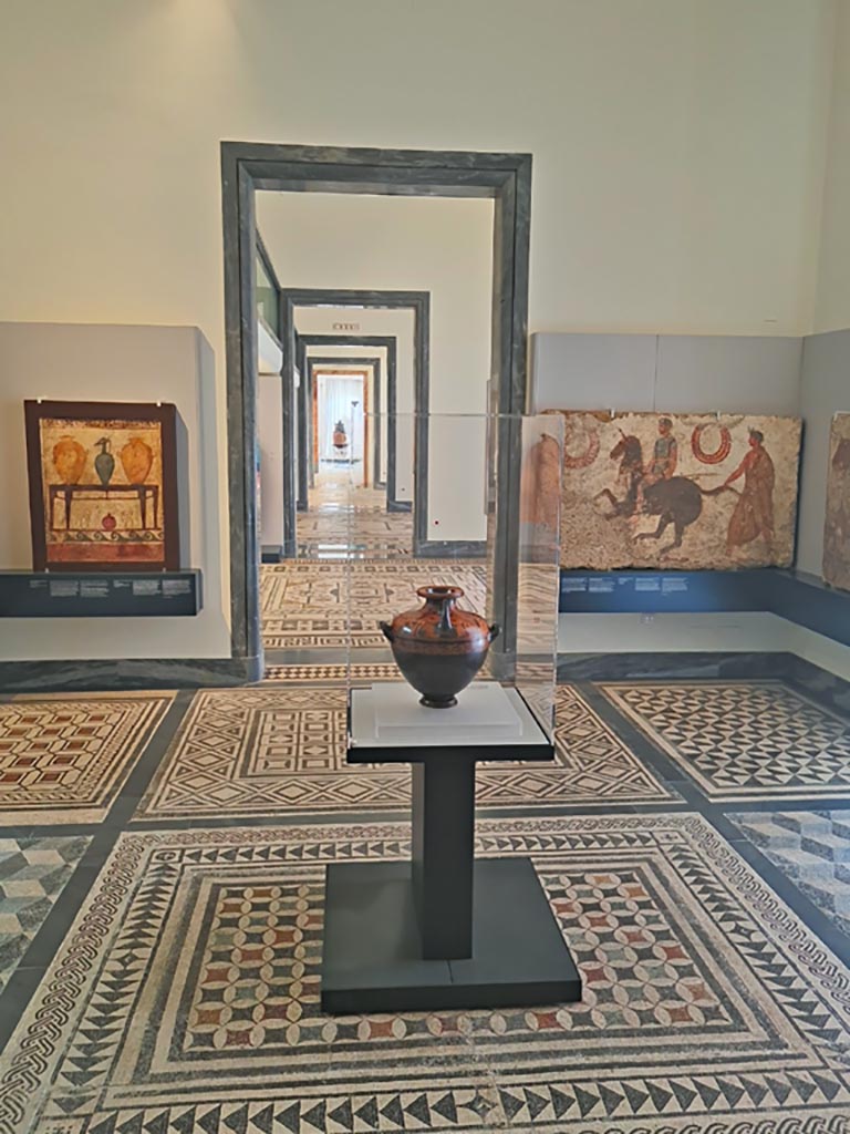 VIII.2.3 Pompeii (?) or Villa dei Papiri, Herculaneum. June 2024. 
Mosaic floor in room CXXX (130) of Naples Archaeological Museum, described by them as being from the Library of the Villa dei Papiri. 
Photo courtesy of Giuseppe Ciaramella.