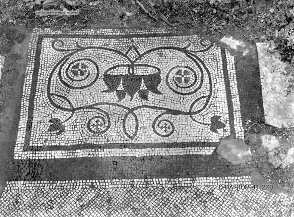 VIII.2.3 Pompeii. c.1930. Decorated mosaic from cubiculum in south-east corner of atrium, according to Pernice “cubiculum f”.
DAIR 41.279. Photo © Deutsches Archäologisches Institut, Abteilung Rom, Arkiv.
See Pernice, E.  1938. Pavimente und Figürliche Mosaiken: Die Hellenistische Kunst in Pompeji, Band VI. Berlin: de Gruyter, (tav. 45.5-6, above.)