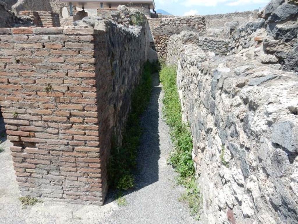 VIII.2.3 Pompeii. May 2018. Passageway leading north from north-east corner of peristyle. Photo courtesy of Buzz Ferebee.