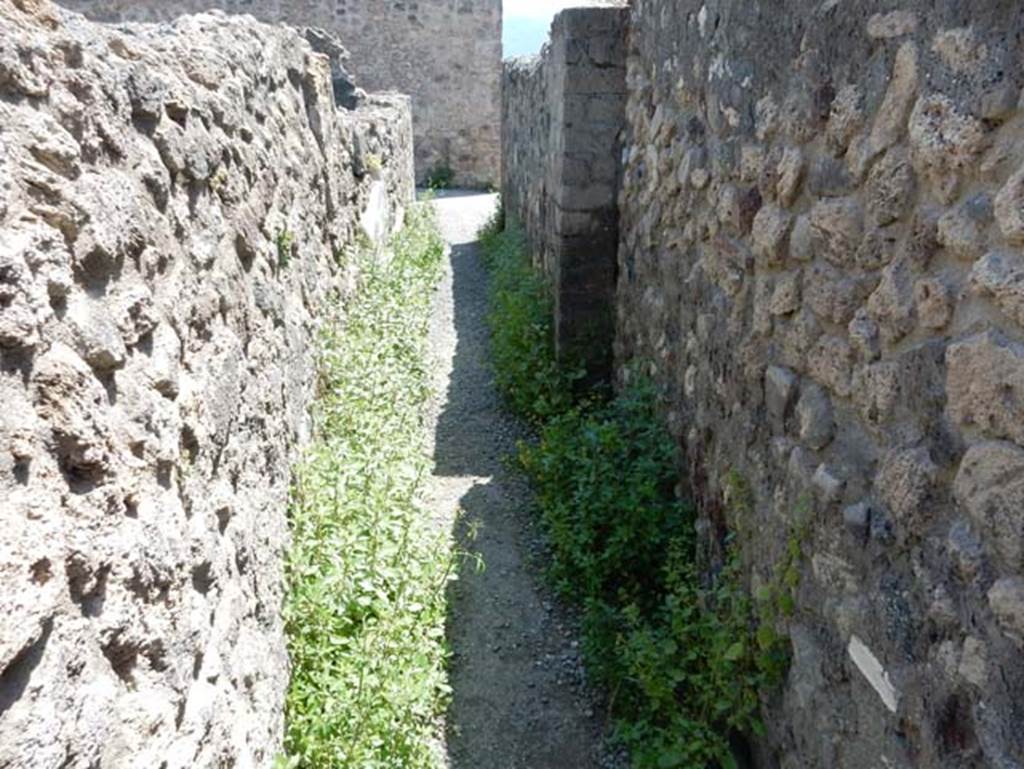VIII.2.3 Pompeii. May 2018. Looking east at north end of passageway leading north from north-east corner of peristyle. 
Photo courtesy of Buzz Ferebee.