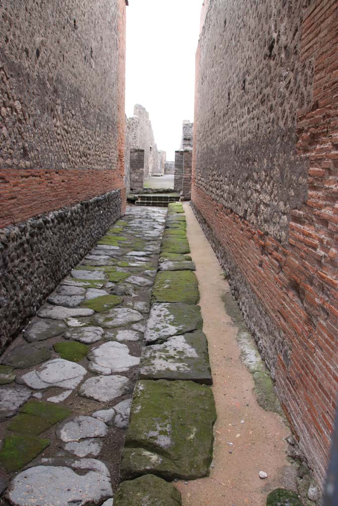 VIII.2.7 Pompeii. October 2020. 
Looking south from entrance doorway along Vicolo del Foro to rear. Photo courtesy of Klaus Heese.