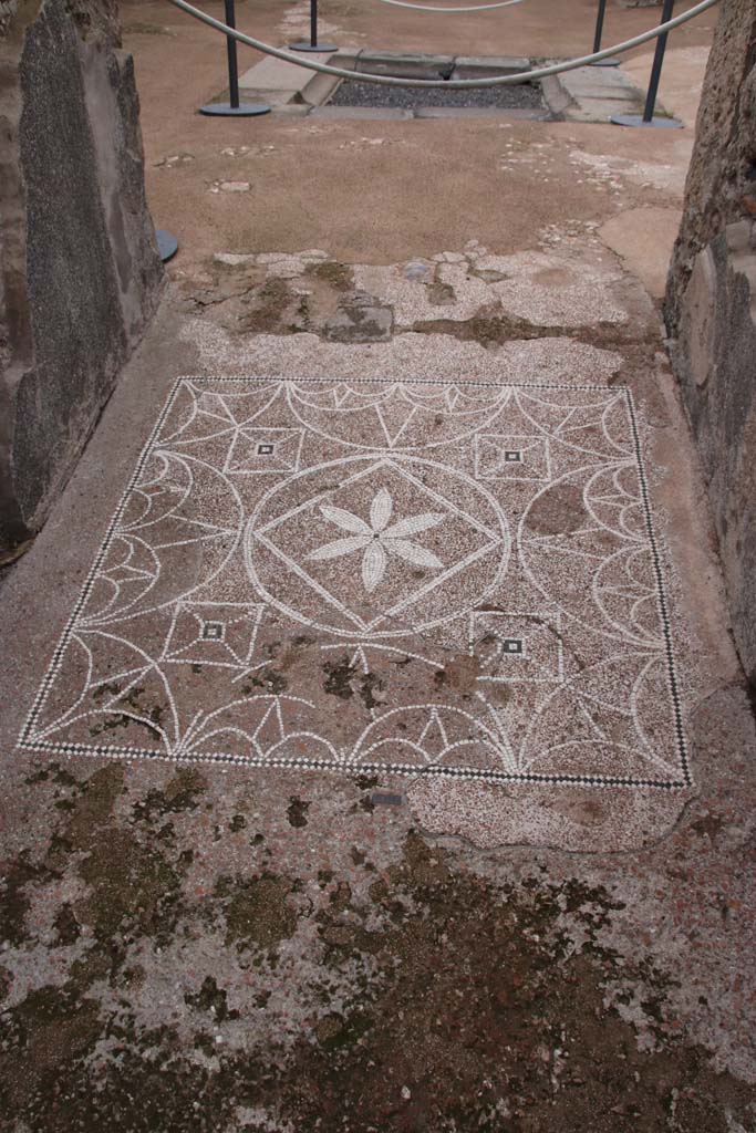 VIII.2.13 Pompeii. October 2020. Cocciopesto flooring with entrance mosaic of black and white tesserae.
Photo courtesy of Klaus Heese.