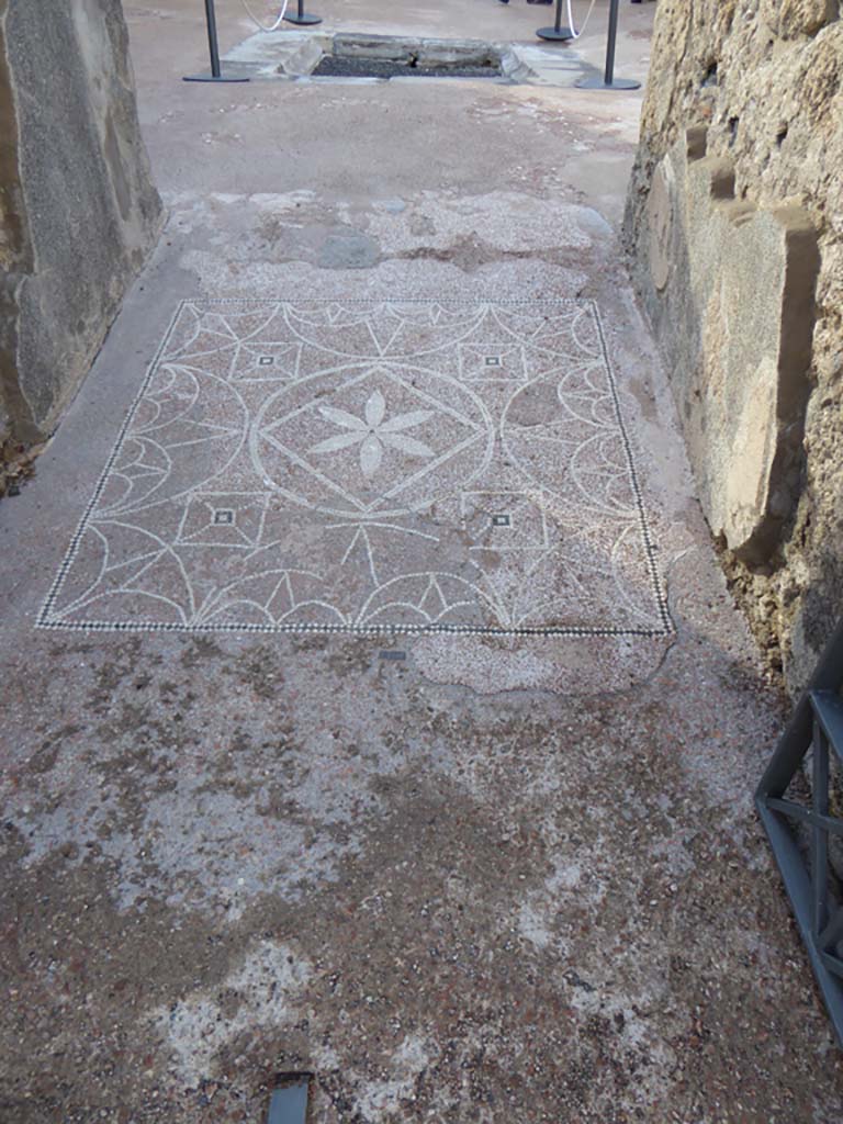 VIII.2.13 Pompeii. January 2017. 
Looking west from entrance doorway along flooring in entrance corridor.
Foto Annette Haug, ERC Grant 681269 DÉCOR.