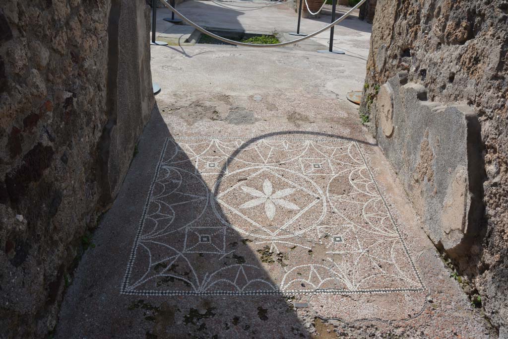 VIII.2.13 Pompeii. March 2019. Looking west towards mosaic in entrance corridor.
Foto Annette Haug, ERC Grant 681269 DÉCOR.